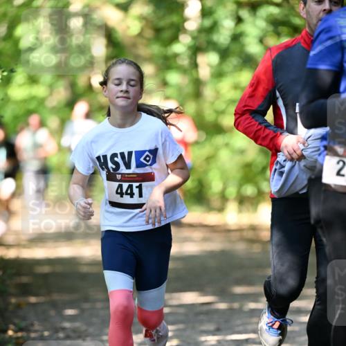 06.10.2024 - Bramfelder Halbmarathon 2024 Dr. Thomas Lammeyer http://msf.ph/oto/7341760 06.10.2024 10:50:53 Laufen 33, 441, 2 meine-sportfotos.de