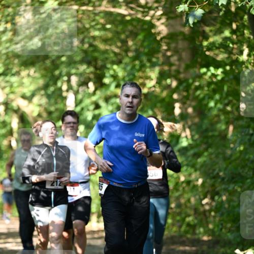 06.10.2024 - Bramfelder Halbmarathon 2024 Dr. Thomas Lammeyer http://msf.ph/oto/7341776 06.10.2024 10:51:03 Laufen 212, 15, 56 meine-sportfotos.de