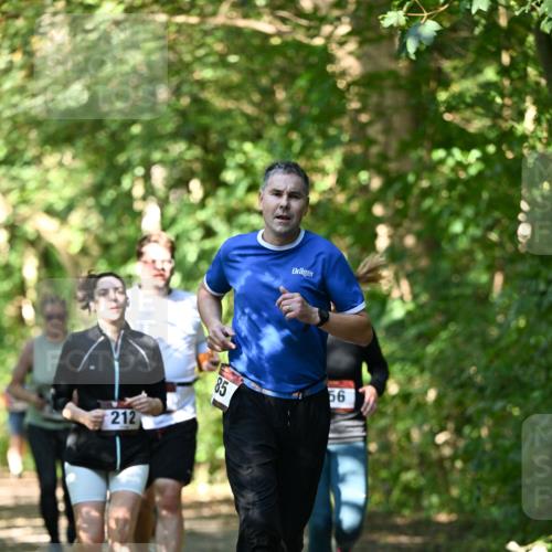06.10.2024 - Bramfelder Halbmarathon 2024 Dr. Thomas Lammeyer http://msf.ph/oto/7341777 06.10.2024 10:51:03 Laufen 212, 85, 56 meine-sportfotos.de