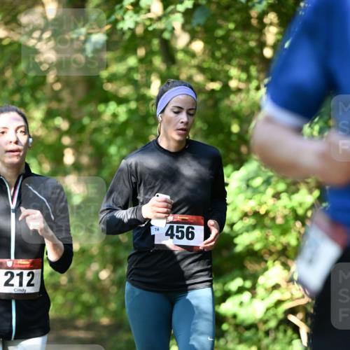 06.10.2024 - Bramfelder Halbmarathon 2024 Dr. Thomas Lammeyer http://msf.ph/oto/7341788 06.10.2024 10:51:06 Laufen 212, 78, 456 meine-sportfotos.de
