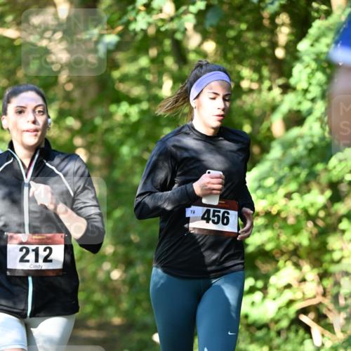 06.10.2024 - Bramfelder Halbmarathon 2024 Dr. Thomas Lammeyer http://msf.ph/oto/7341789 06.10.2024 10:51:06 Laufen 212, 78, 456 meine-sportfotos.de