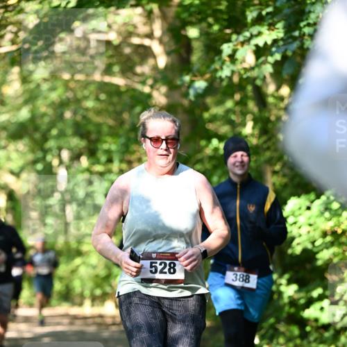 06.10.2024 - Bramfelder Halbmarathon 2024 Dr. Thomas Lammeyer http://msf.ph/oto/7341796 06.10.2024 10:51:09 Laufen 528, 388 meine-sportfotos.de