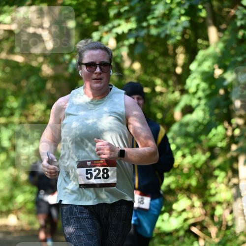 06.10.2024 - Bramfelder Halbmarathon 2024 Dr. Thomas Lammeyer http://msf.ph/oto/7341801 06.10.2024 10:51:10 Laufen 3, 528, 18 meine-sportfotos.de