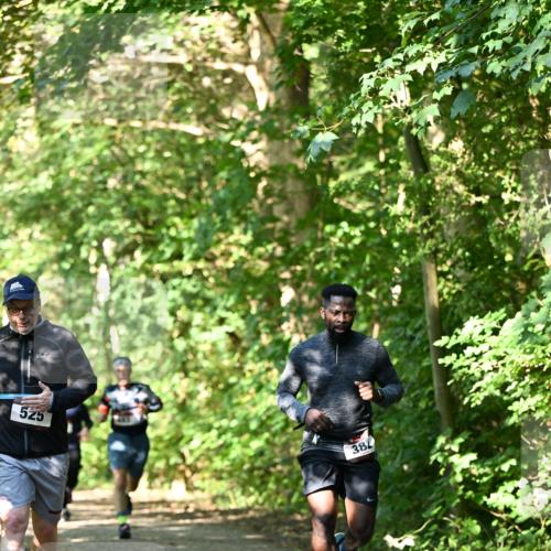 06.10.2024 - Bramfelder Halbmarathon 2024 Dr. Thomas Lammeyer http://msf.ph/oto/7341808 06.10.2024 10:51:11 Laufen 525, 382 meine-sportfotos.de
