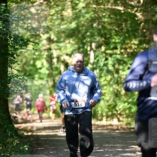 06.10.2024 - Bramfelder Halbmarathon 2024 Dr. Thomas Lammeyer http://msf.ph/oto/7341839 06.10.2024 10:51:20 Laufen 514 meine-sportfotos.de