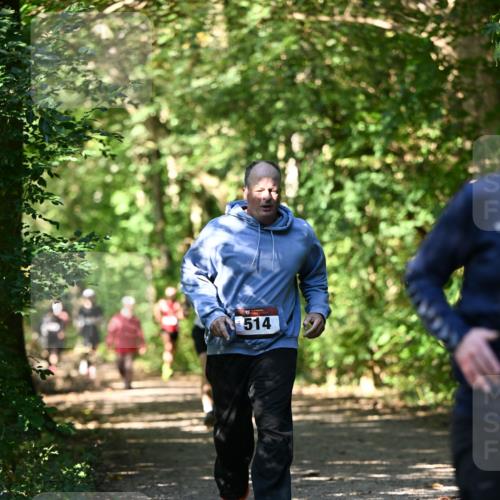 06.10.2024 - Bramfelder Halbmarathon 2024 Dr. Thomas Lammeyer http://msf.ph/oto/7341840 06.10.2024 10:51:20 Laufen 514 meine-sportfotos.de