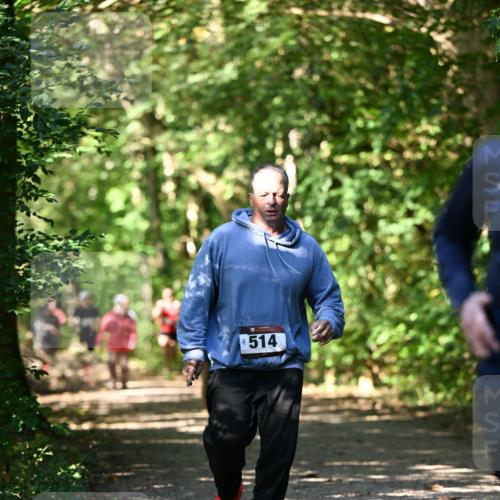 06.10.2024 - Bramfelder Halbmarathon 2024 Dr. Thomas Lammeyer http://msf.ph/oto/7341841 06.10.2024 10:51:20 Laufen 514 meine-sportfotos.de