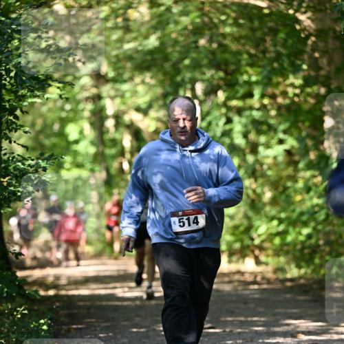 06.10.2024 - Bramfelder Halbmarathon 2024 Dr. Thomas Lammeyer http://msf.ph/oto/7341843 06.10.2024 10:51:20 Laufen 514 meine-sportfotos.de