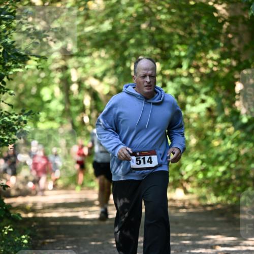 06.10.2024 - Bramfelder Halbmarathon 2024 Dr. Thomas Lammeyer http://msf.ph/oto/7341845 06.10.2024 10:51:20 Laufen 514 meine-sportfotos.de