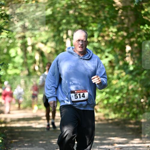 06.10.2024 - Bramfelder Halbmarathon 2024 Dr. Thomas Lammeyer http://msf.ph/oto/7341847 06.10.2024 10:51:21 Laufen 514 meine-sportfotos.de