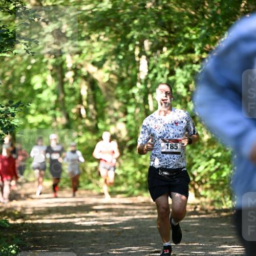 06.10.2024 - Bramfelder Halbmarathon 2024 Dr. Thomas Lammeyer http://msf.ph/oto/7341855 06.10.2024 10:51:23 Laufen 185 meine-sportfotos.de