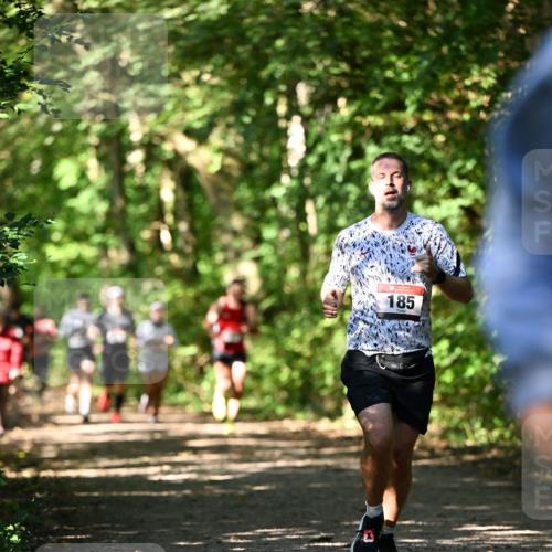 06.10.2024 - Bramfelder Halbmarathon 2024 Dr. Thomas Lammeyer http://msf.ph/oto/7341856 06.10.2024 10:51:23 Laufen 185 meine-sportfotos.de