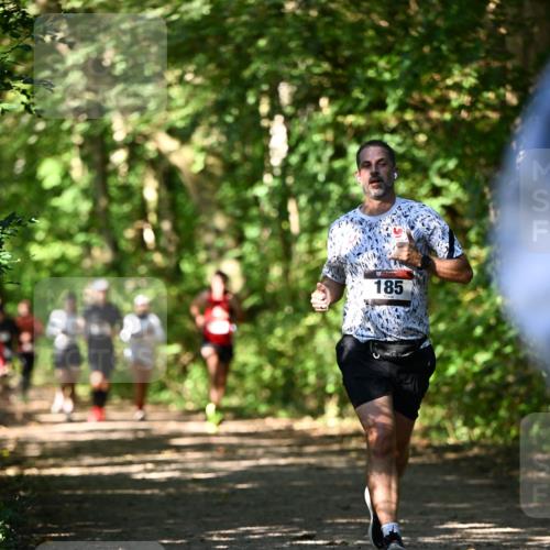 06.10.2024 - Bramfelder Halbmarathon 2024 Dr. Thomas Lammeyer http://msf.ph/oto/7341857 06.10.2024 10:51:23 Laufen 185 meine-sportfotos.de