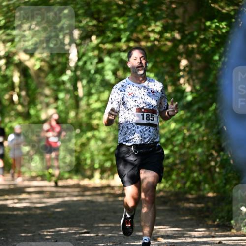 06.10.2024 - Bramfelder Halbmarathon 2024 Dr. Thomas Lammeyer http://msf.ph/oto/7341860 06.10.2024 10:51:24 Laufen 185 meine-sportfotos.de