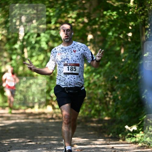06.10.2024 - Bramfelder Halbmarathon 2024 Dr. Thomas Lammeyer http://msf.ph/oto/7341862 06.10.2024 10:51:24 Laufen 185 meine-sportfotos.de