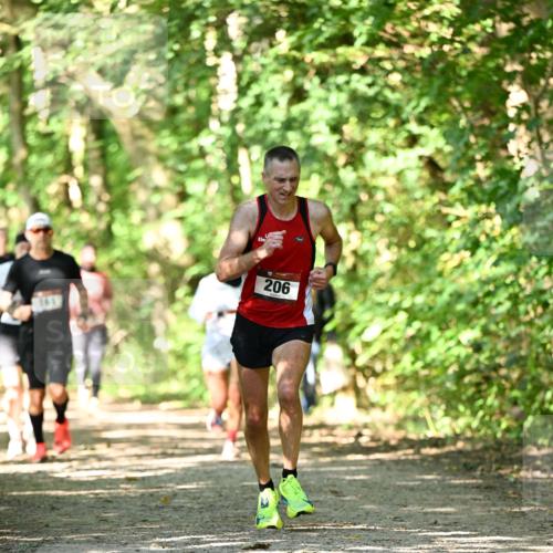 06.10.2024 - Bramfelder Halbmarathon 2024 Dr. Thomas Lammeyer http://msf.ph/oto/7341874 06.10.2024 10:51:29 Laufen 206 meine-sportfotos.de
