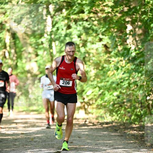 06.10.2024 - Bramfelder Halbmarathon 2024 Dr. Thomas Lammeyer http://msf.ph/oto/7341876 06.10.2024 10:51:29 Laufen 206 meine-sportfotos.de