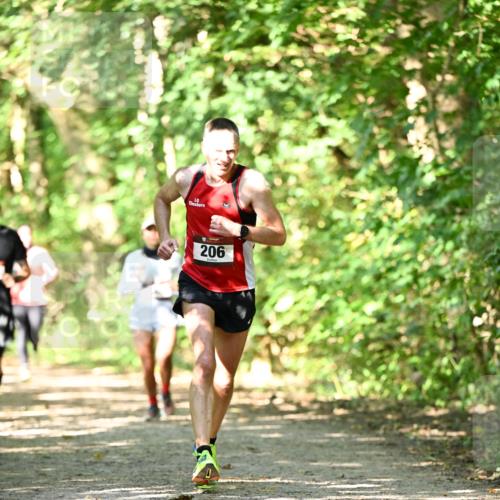 06.10.2024 - Bramfelder Halbmarathon 2024 Dr. Thomas Lammeyer http://msf.ph/oto/7341877 06.10.2024 10:51:29 Laufen 206 meine-sportfotos.de