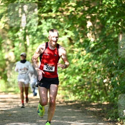 06.10.2024 - Bramfelder Halbmarathon 2024 Dr. Thomas Lammeyer http://msf.ph/oto/7341881 06.10.2024 10:51:30 Laufen 206 meine-sportfotos.de