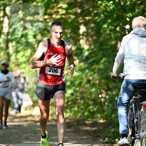 06.10.2024 - Bramfelder Halbmarathon 2024 Dr. Thomas Lammeyer http://msf.ph/oto/7341885 06.10.2024 10:51:31 Laufen 206 meine-sportfotos.de