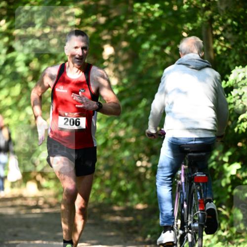 06.10.2024 - Bramfelder Halbmarathon 2024 Dr. Thomas Lammeyer http://msf.ph/oto/7341887 06.10.2024 10:51:31 Laufen 206 meine-sportfotos.de