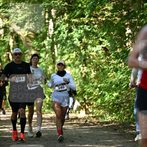 06.10.2024 - Bramfelder Halbmarathon 2024 Dr. Thomas Lammeyer http://msf.ph/oto/7341891 06.10.2024 10:51:32 Laufen 161, 196, 340 meine-sportfotos.de