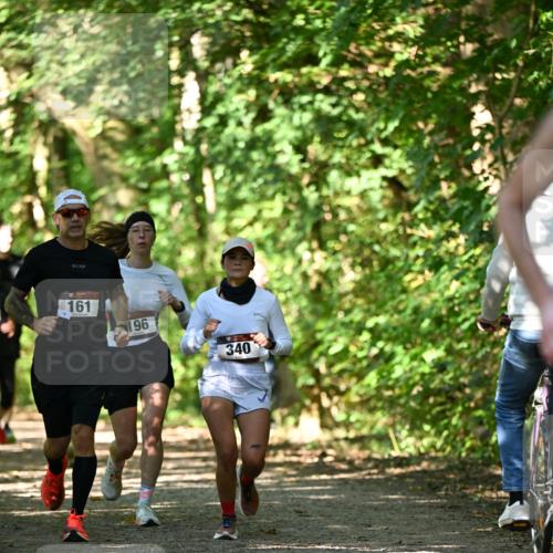 06.10.2024 - Bramfelder Halbmarathon 2024 Dr. Thomas Lammeyer http://msf.ph/oto/7341892 06.10.2024 10:51:32 Laufen 161, 196, 340 meine-sportfotos.de