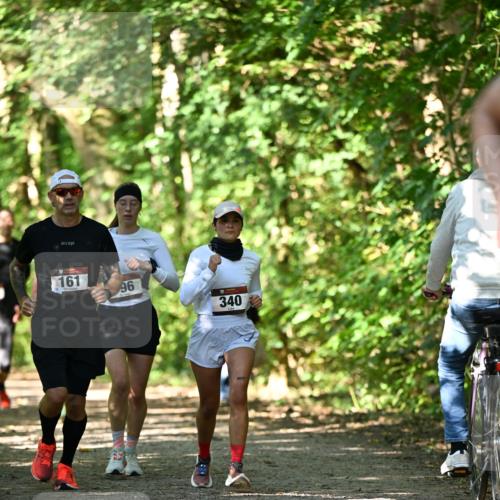 06.10.2024 - Bramfelder Halbmarathon 2024 Dr. Thomas Lammeyer http://msf.ph/oto/7341893 06.10.2024 10:51:32 Laufen 161, 96, 340 meine-sportfotos.de
