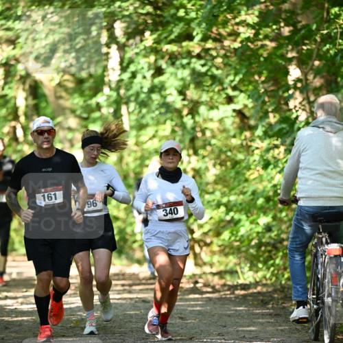 06.10.2024 - Bramfelder Halbmarathon 2024 Dr. Thomas Lammeyer http://msf.ph/oto/7341895 06.10.2024 10:51:32 Laufen 161, 96, 340 meine-sportfotos.de