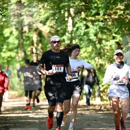 06.10.2024 - Bramfelder Halbmarathon 2024 Dr. Thomas Lammeyer http://msf.ph/oto/7341898 06.10.2024 10:51:33 Laufen 161, 96, 540 meine-sportfotos.de