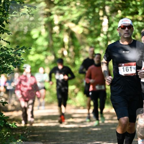 06.10.2024 - Bramfelder Halbmarathon 2024 Dr. Thomas Lammeyer http://msf.ph/oto/7341908 06.10.2024 10:51:35 Laufen 161 meine-sportfotos.de