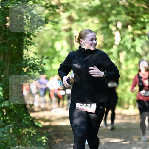 06.10.2024 - Bramfelder Halbmarathon 2024 Dr. Thomas Lammeyer http://msf.ph/oto/7341982 06.10.2024 10:52:05 Laufen 353 meine-sportfotos.de