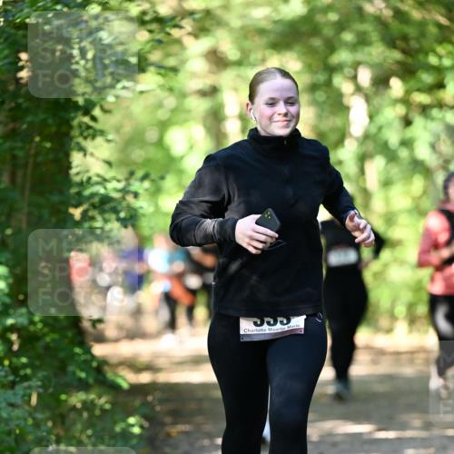 06.10.2024 - Bramfelder Halbmarathon 2024 Dr. Thomas Lammeyer http://msf.ph/oto/7341984 06.10.2024 10:52:05 Laufen  meine-sportfotos.de