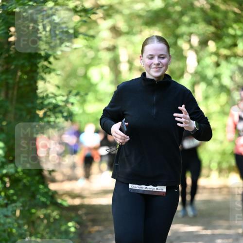 06.10.2024 - Bramfelder Halbmarathon 2024 Dr. Thomas Lammeyer http://msf.ph/oto/7341986 06.10.2024 10:52:06 Laufen  meine-sportfotos.de