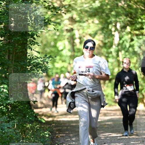 06.10.2024 - Bramfelder Halbmarathon 2024 Dr. Thomas Lammeyer http://msf.ph/oto/7341992 06.10.2024 10:52:07 Laufen 24 meine-sportfotos.de