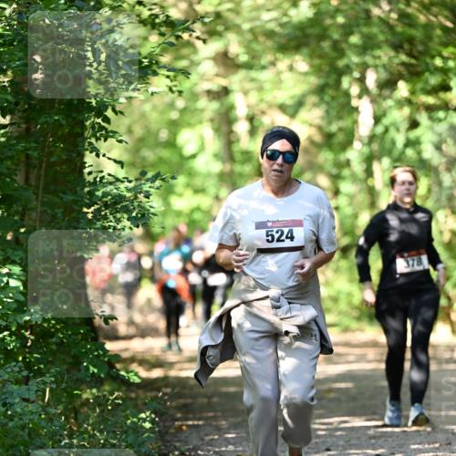 06.10.2024 - Bramfelder Halbmarathon 2024 Dr. Thomas Lammeyer http://msf.ph/oto/7341993 06.10.2024 10:52:07 Laufen 524, 378 meine-sportfotos.de