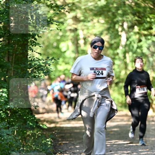 06.10.2024 - Bramfelder Halbmarathon 2024 Dr. Thomas Lammeyer http://msf.ph/oto/7341994 06.10.2024 10:52:07 Laufen 524, 378 meine-sportfotos.de