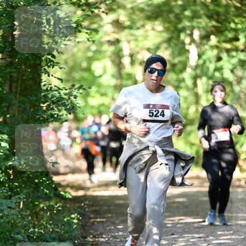06.10.2024 - Bramfelder Halbmarathon 2024 Dr. Thomas Lammeyer http://msf.ph/oto/7341995 06.10.2024 10:52:07 Laufen  meine-sportfotos.de