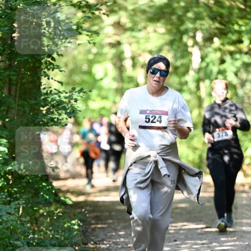 06.10.2024 - Bramfelder Halbmarathon 2024 Dr. Thomas Lammeyer http://msf.ph/oto/7341996 06.10.2024 10:52:08 Laufen 524, 378 meine-sportfotos.de