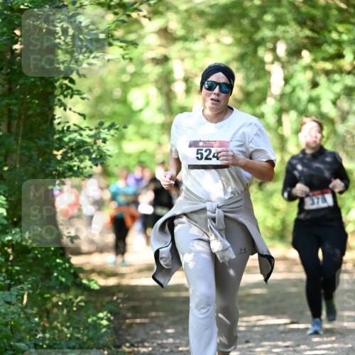 06.10.2024 - Bramfelder Halbmarathon 2024 Dr. Thomas Lammeyer http://msf.ph/oto/7341997 06.10.2024 10:52:08 Laufen 524, 374 meine-sportfotos.de