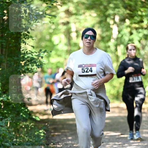 06.10.2024 - Bramfelder Halbmarathon 2024 Dr. Thomas Lammeyer http://msf.ph/oto/7341998 06.10.2024 10:52:08 Laufen 524, 378 meine-sportfotos.de