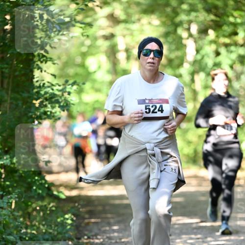 06.10.2024 - Bramfelder Halbmarathon 2024 Dr. Thomas Lammeyer http://msf.ph/oto/7341999 06.10.2024 10:52:08 Laufen 524 meine-sportfotos.de