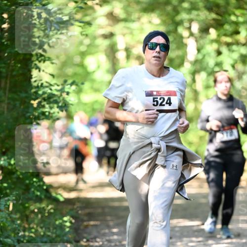 06.10.2024 - Bramfelder Halbmarathon 2024 Dr. Thomas Lammeyer http://msf.ph/oto/7342000 06.10.2024 10:52:08 Laufen 524 meine-sportfotos.de