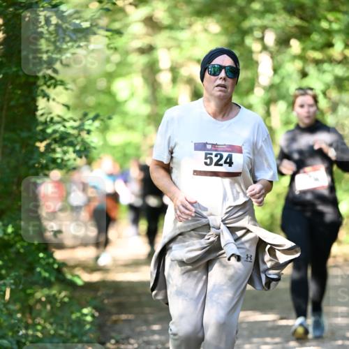 06.10.2024 - Bramfelder Halbmarathon 2024 Dr. Thomas Lammeyer http://msf.ph/oto/7342001 06.10.2024 10:52:08 Laufen 524 meine-sportfotos.de