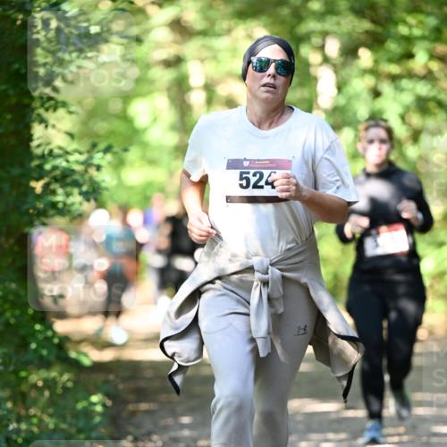 06.10.2024 - Bramfelder Halbmarathon 2024 Dr. Thomas Lammeyer http://msf.ph/oto/7342002 06.10.2024 10:52:08 Laufen 524 meine-sportfotos.de