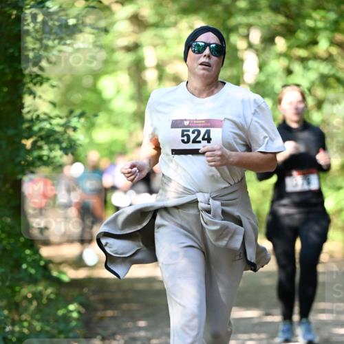 06.10.2024 - Bramfelder Halbmarathon 2024 Dr. Thomas Lammeyer http://msf.ph/oto/7342003 06.10.2024 10:52:09 Laufen 33, 524 meine-sportfotos.de