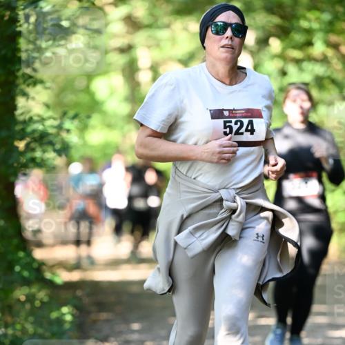 06.10.2024 - Bramfelder Halbmarathon 2024 Dr. Thomas Lammeyer http://msf.ph/oto/7342005 06.10.2024 10:52:09 Laufen 33, 524 meine-sportfotos.de
