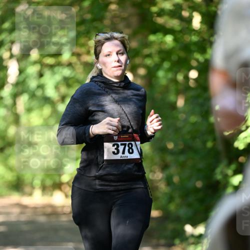 06.10.2024 - Bramfelder Halbmarathon 2024 Dr. Thomas Lammeyer http://msf.ph/oto/7342007 06.10.2024 10:52:11 Laufen 378 meine-sportfotos.de