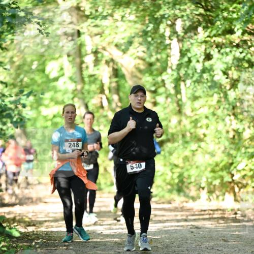 06.10.2024 - Bramfelder Halbmarathon 2024 Dr. Thomas Lammeyer http://msf.ph/oto/7342014 06.10.2024 10:52:13 Laufen 248, 540 meine-sportfotos.de