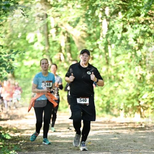 06.10.2024 - Bramfelder Halbmarathon 2024 Dr. Thomas Lammeyer http://msf.ph/oto/7342016 06.10.2024 10:52:14 Laufen 248, 540 meine-sportfotos.de